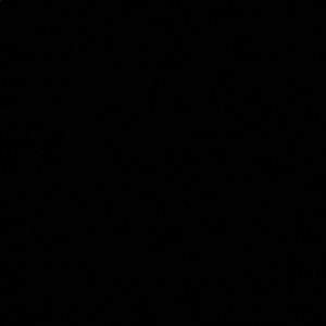 Meet your Posher, Robyn